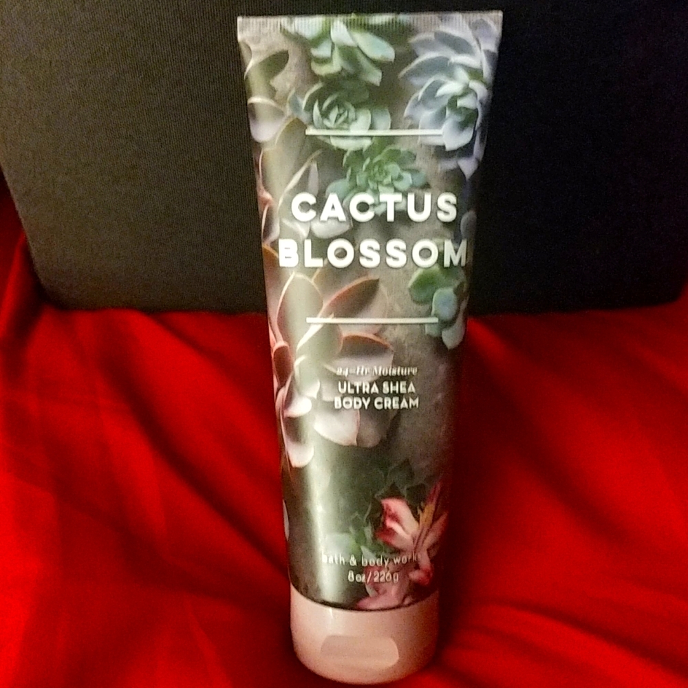 Cactus Blossom